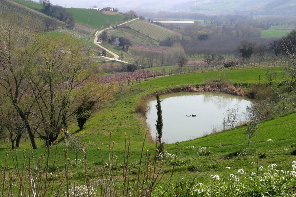 Agriturismo Vecchio Gelso Ortezzano Exterior photo